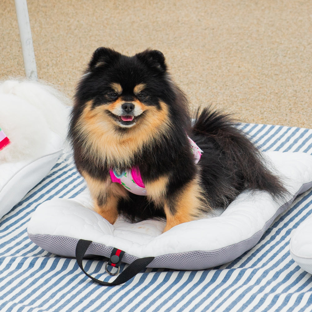 ライナー Ice Coolier