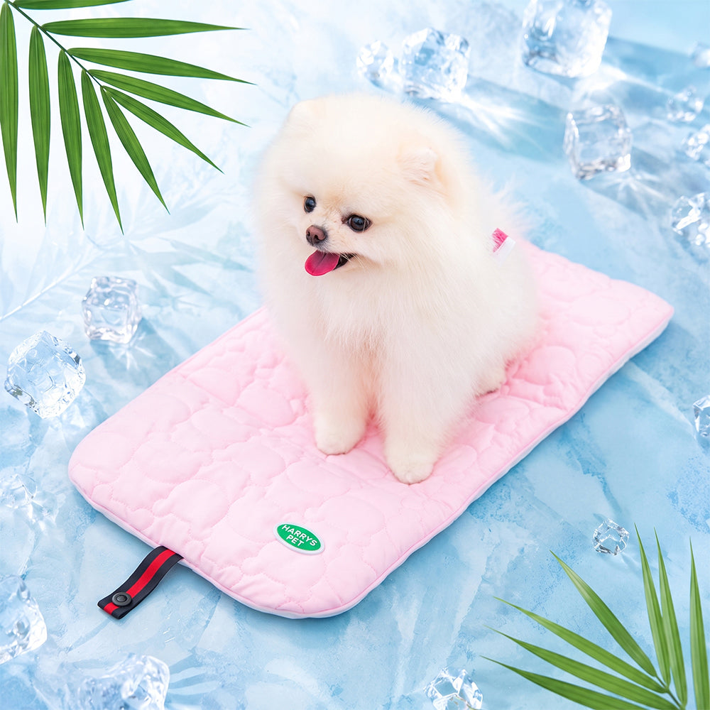 【SALE対象】アイスポケットポーチ Ice Coolier (ピンク/トリプル)