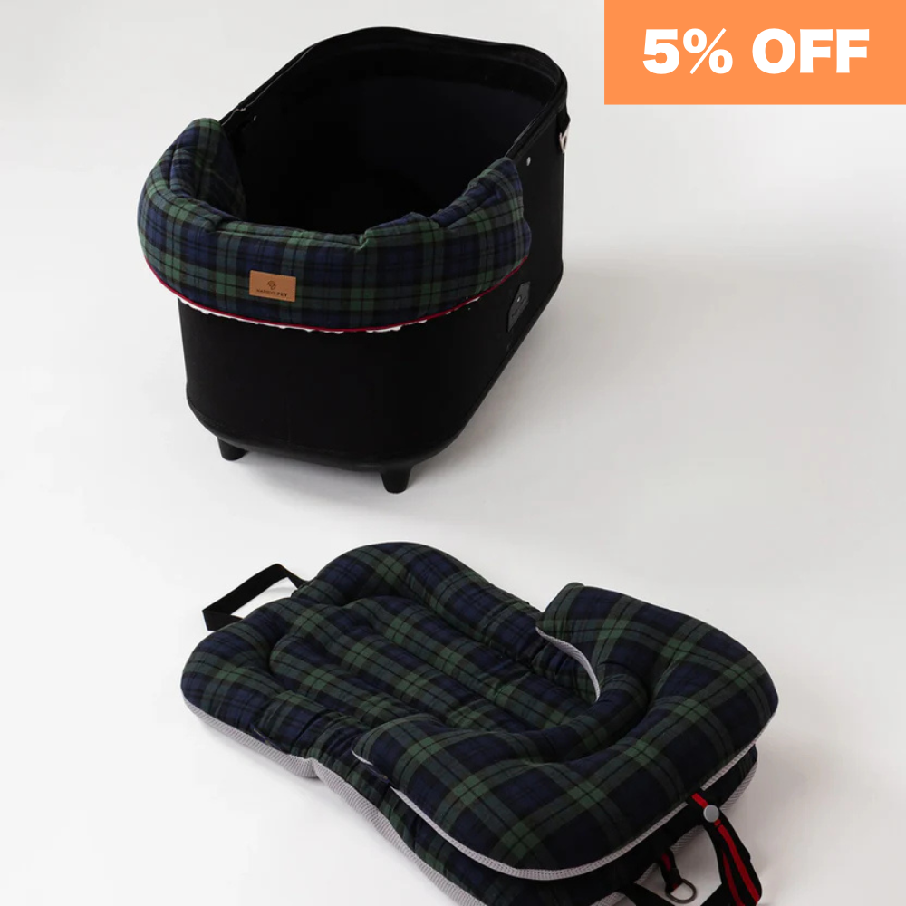 【3set】 BASIC、ブラックウォッチ