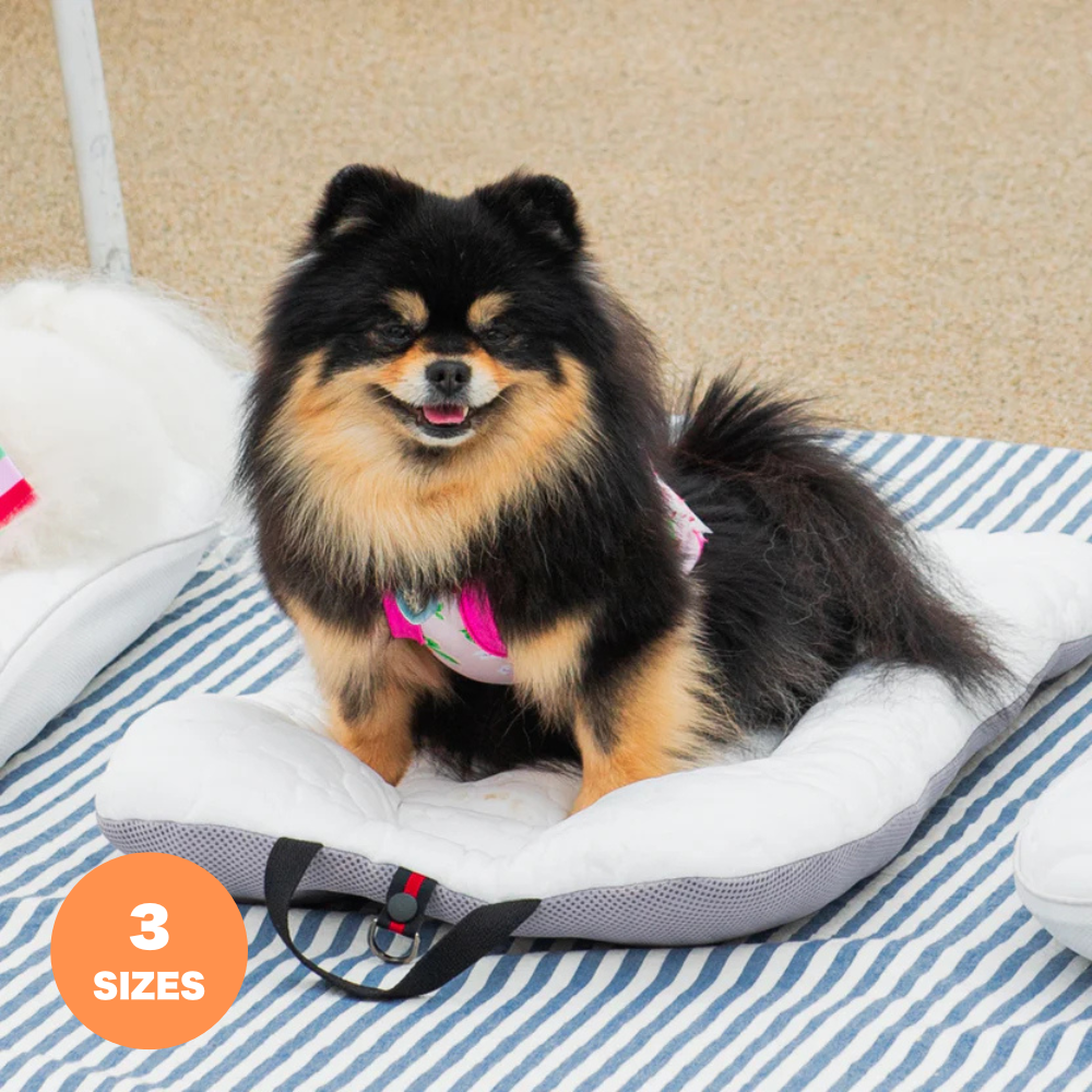 ライナー Ice Coolier