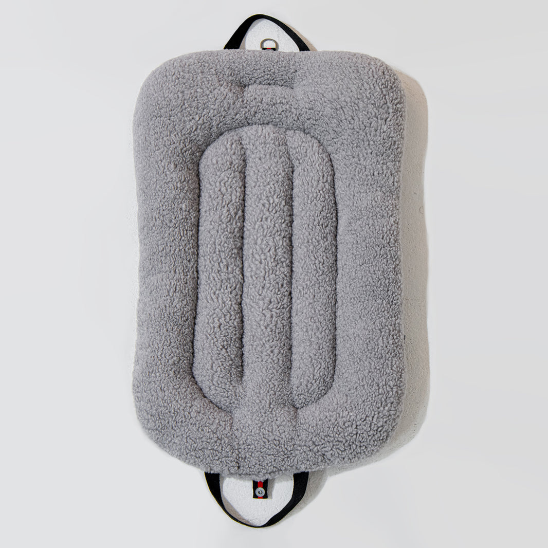 ライナー ポグリ、アッシュグレー