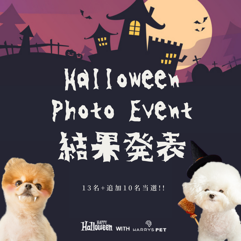 ハロウィンのお写真ありがとうございました！