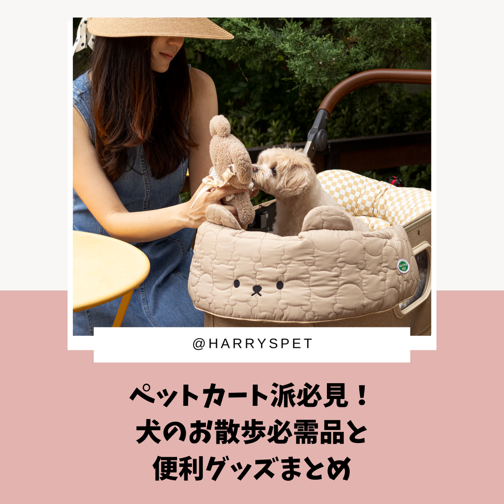 ペットカート派必見！犬のお散歩必需品と便利グッズまとめ
