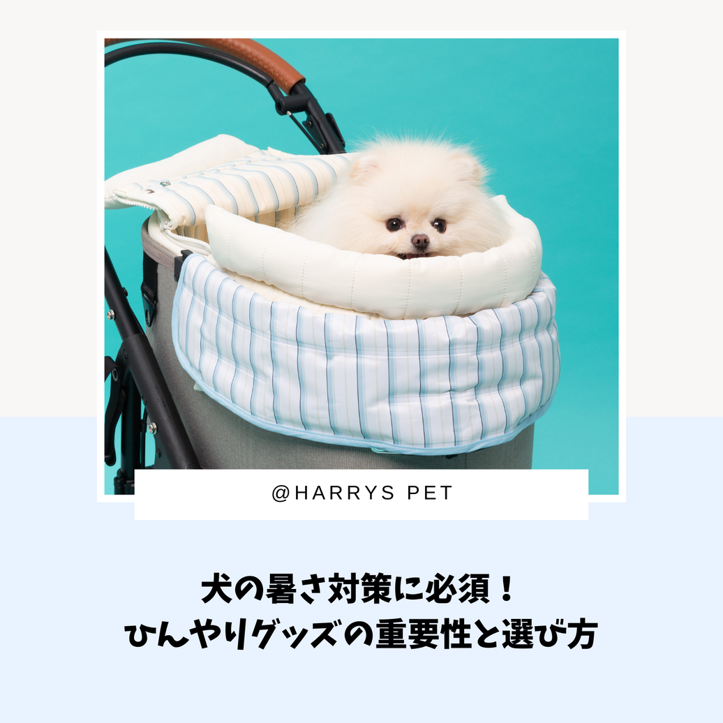 犬の暑さ対策に必須！ひんやりグッズの重要性と選び方