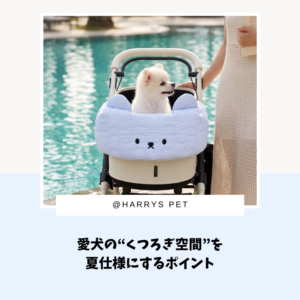 愛犬の“くつろぎ空間”を夏仕様にするポイント