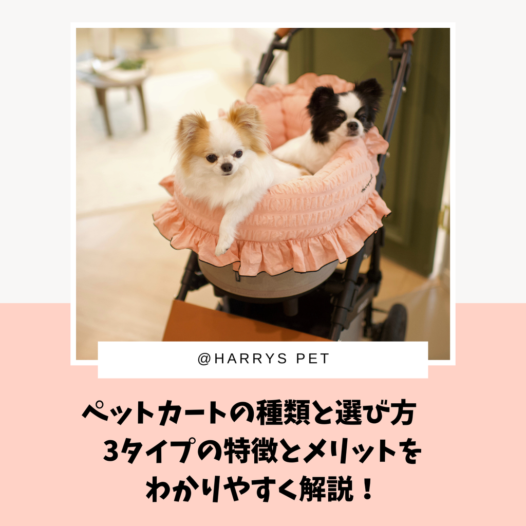 ペットカートの種類と選び方 3タイプの特徴とメリットをわかりやすく解説！