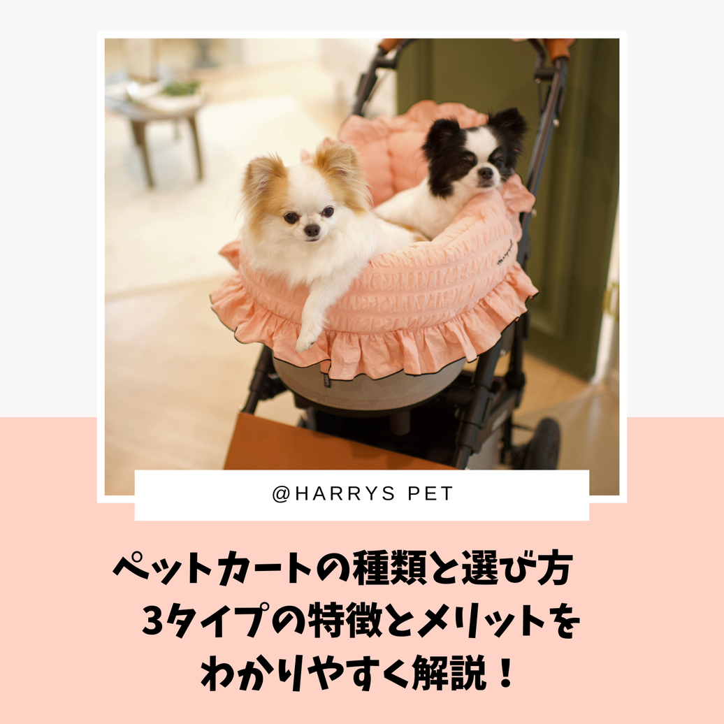 ペットカートの種類と選び方　3タイプの特徴とメリットをわかりやすく解説！