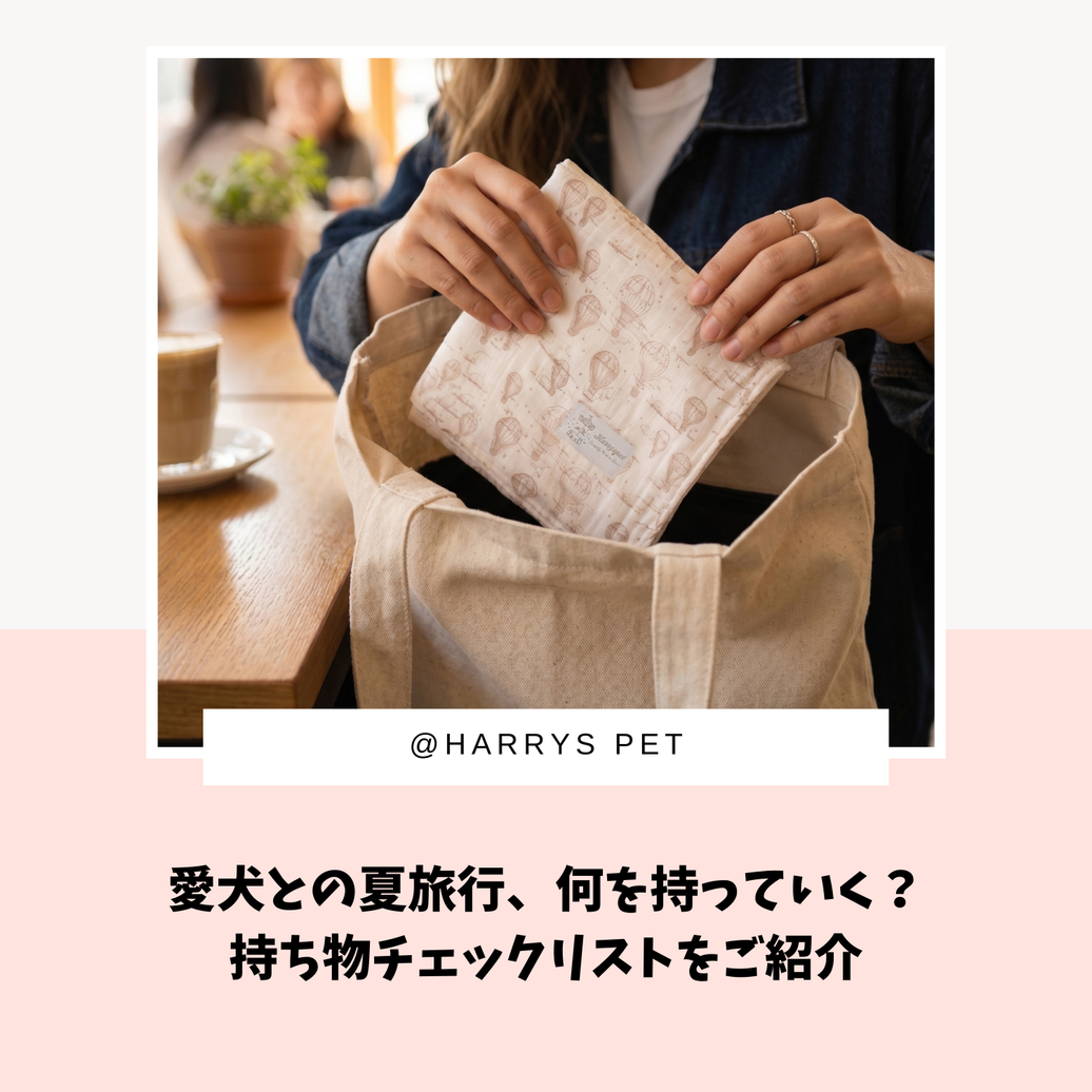 愛犬との夏旅行、何を持っていく？持ち物チェックリストをご紹介🐶🧳