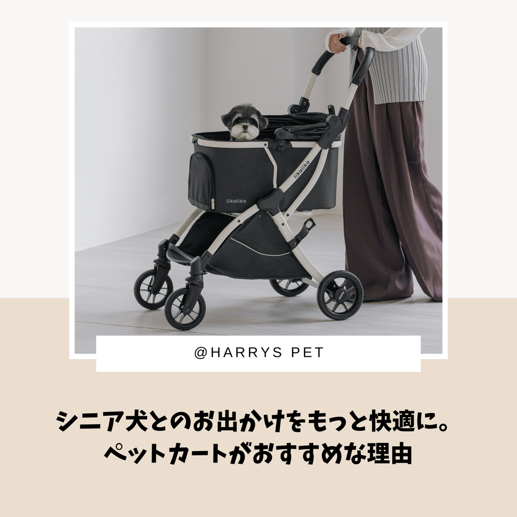 シニア犬とのお出かけをもっと快適に。ペットカートがおすすめな理由🐶🌿