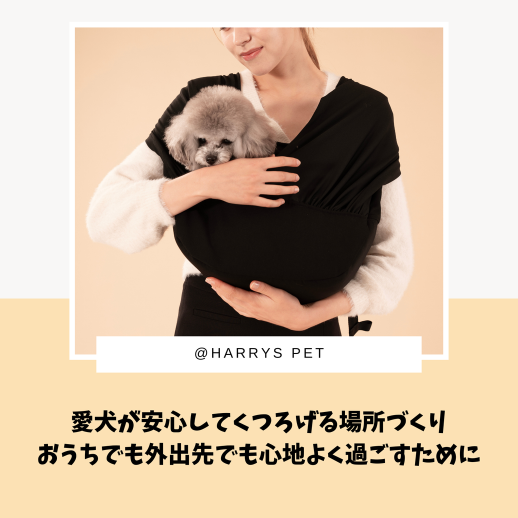 愛犬が安心してくつろげる場所づくり｜おうちでも外出先でも心地よく過ごすために🐶🌿