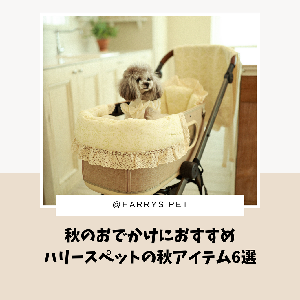 秋のおでかけにおすすめハリースペットの秋アイテム6選