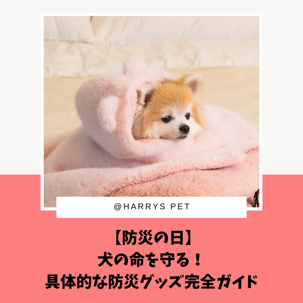 【防災の日】犬の命を守る！具体的な防災グッズ完全ガイド