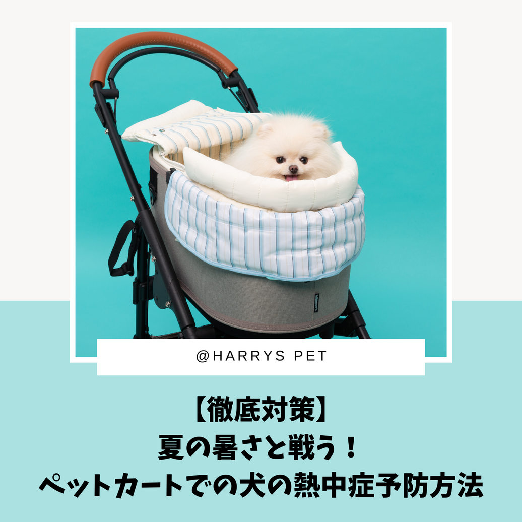 【徹底対策】夏の暑さと戦う！ペットカートでの犬の熱中症予防方法