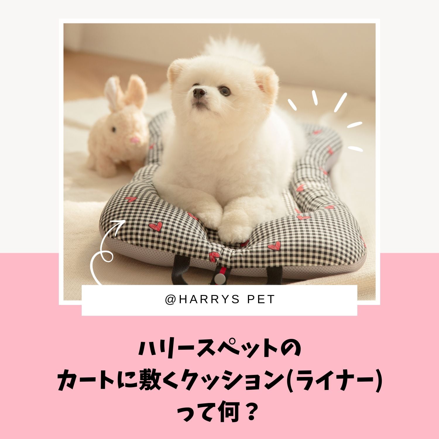 ハリースペットのペットカートクッション『ライナー』を詳しく紹介😊