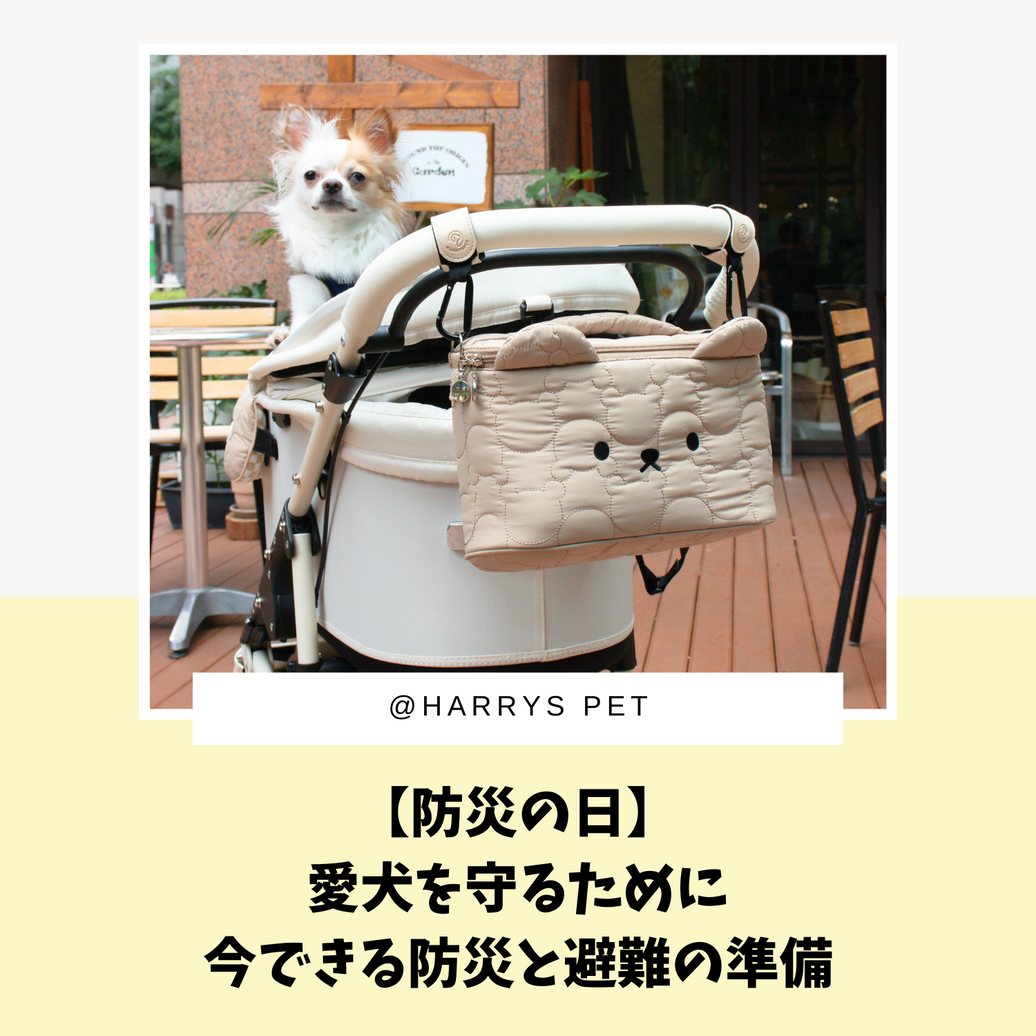 【防災の日】愛犬を守るために、今できる防災と避難の準備