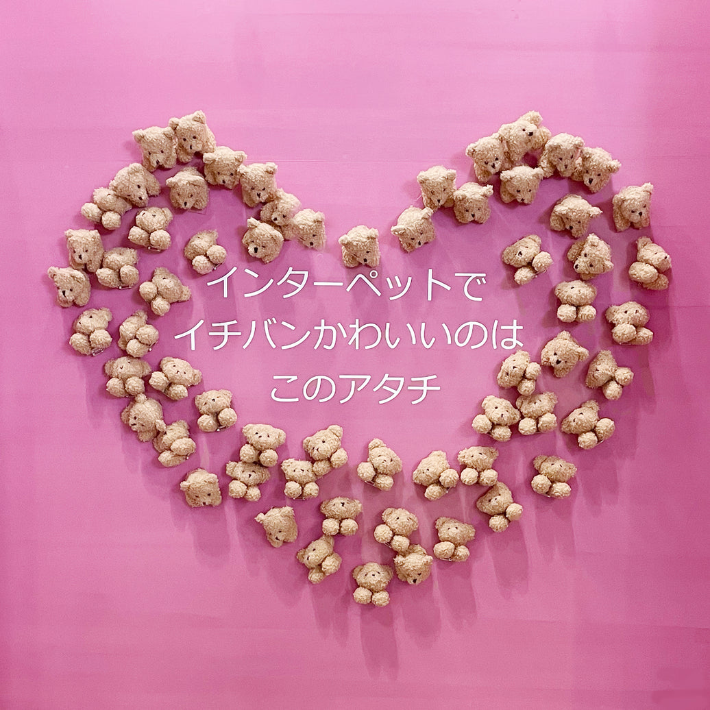 インターペット東京2023に出展いたしました ！✨