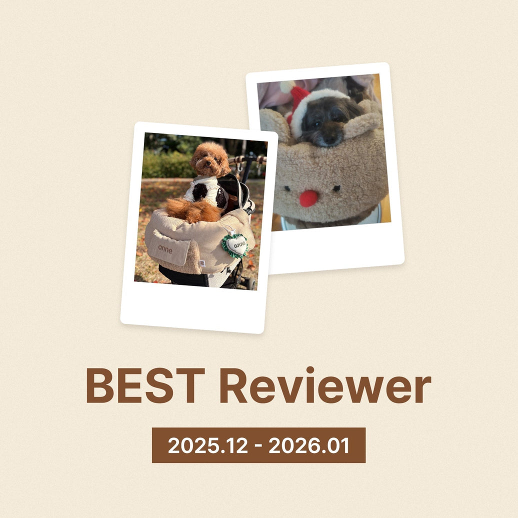 2025年12~2026年1月のベストレビュアー様の発表