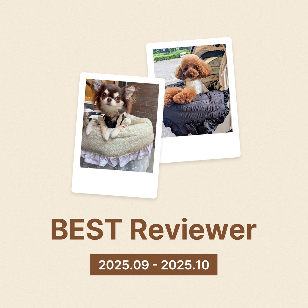 2025年9~10月のベストレビュアー様の発表