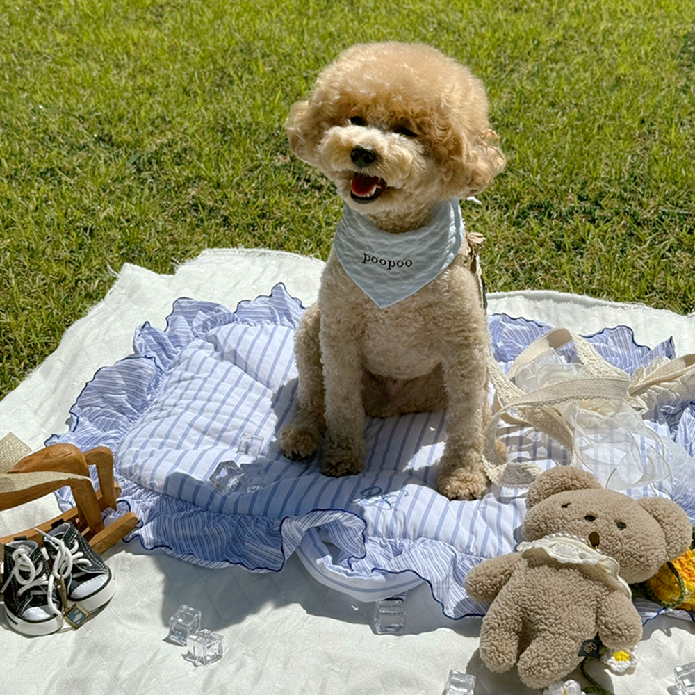 13_7cf13479-865b-4604-9675-