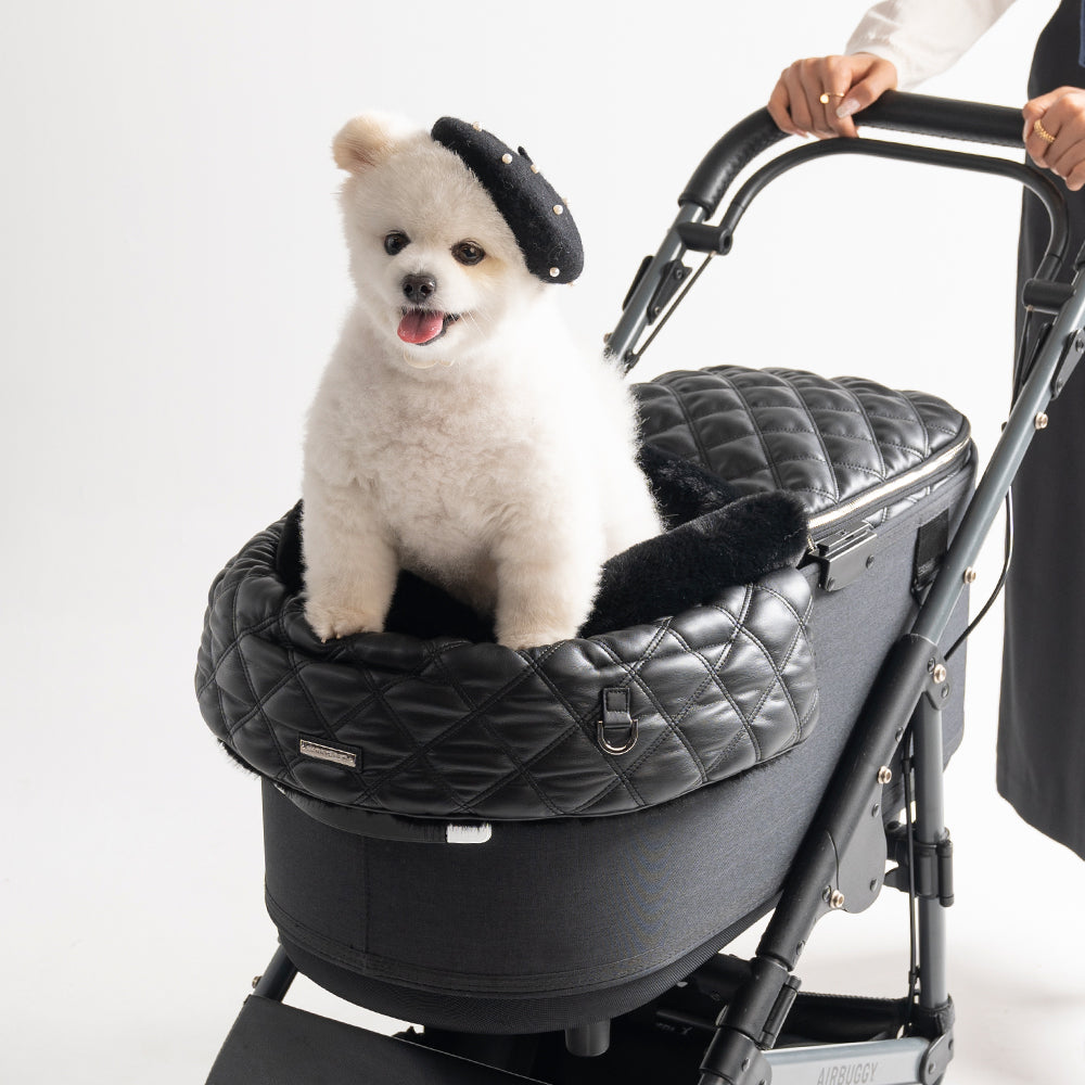 WINTER STORE｜HARRYSPET（ハリースペット）公式通販