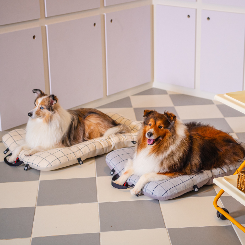 ライナー LP（Large Plus）・XLサイズ