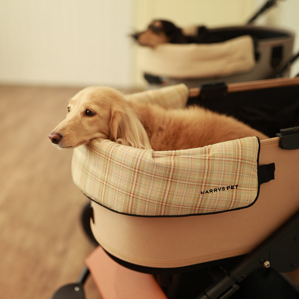 コレクション