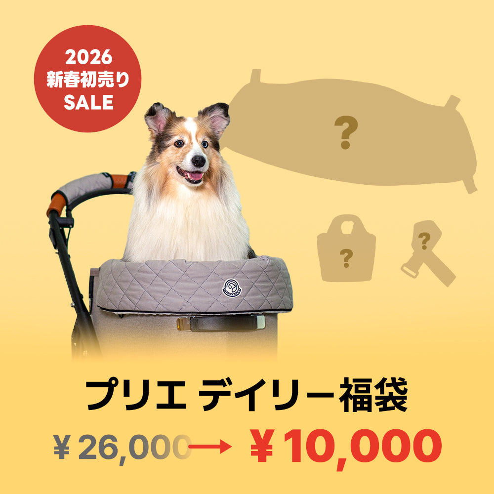 ★期間限定★ プリエ デイリー福袋