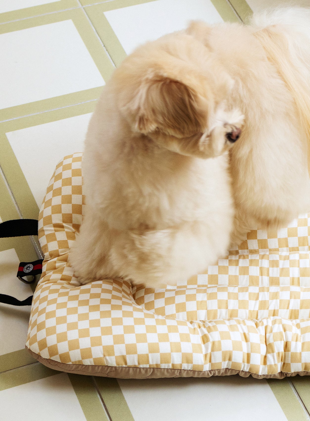 ハリースペット 日本 公式サイト