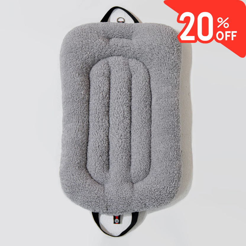 ライナー ポグリ、アッシュグレー