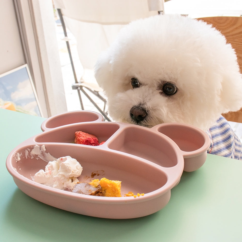 ペット用フードプレート - Berry Yummy Plate