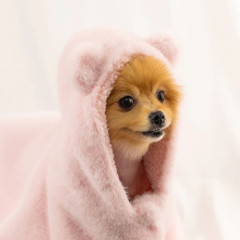 ★期間限定＆送料無料★ 愛犬安心セット