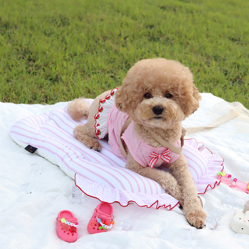 ライナー クルーズ、Ocean Pink オーシャンピンク