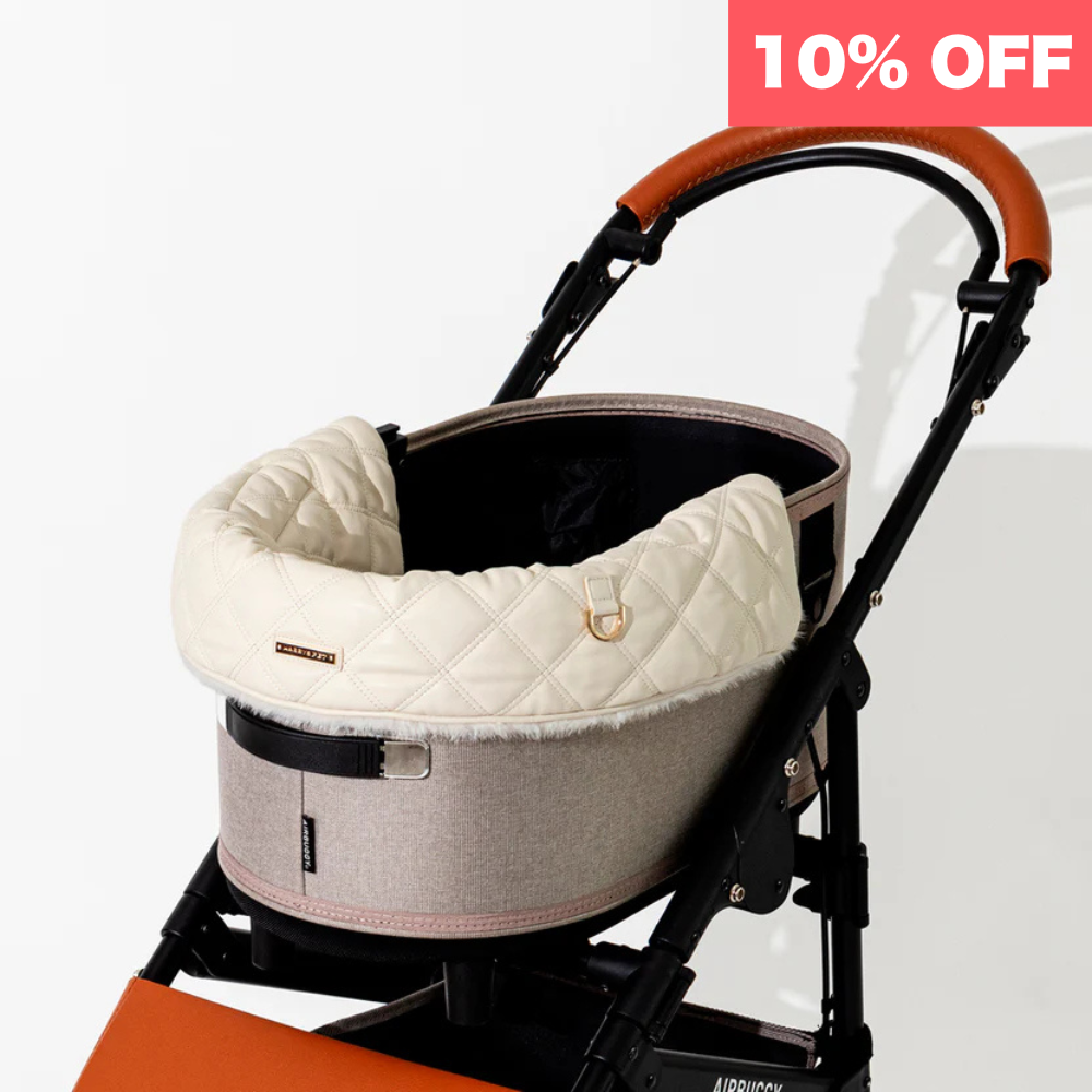 コンフォーター DIA、Coconut Milk ココナッツミルク