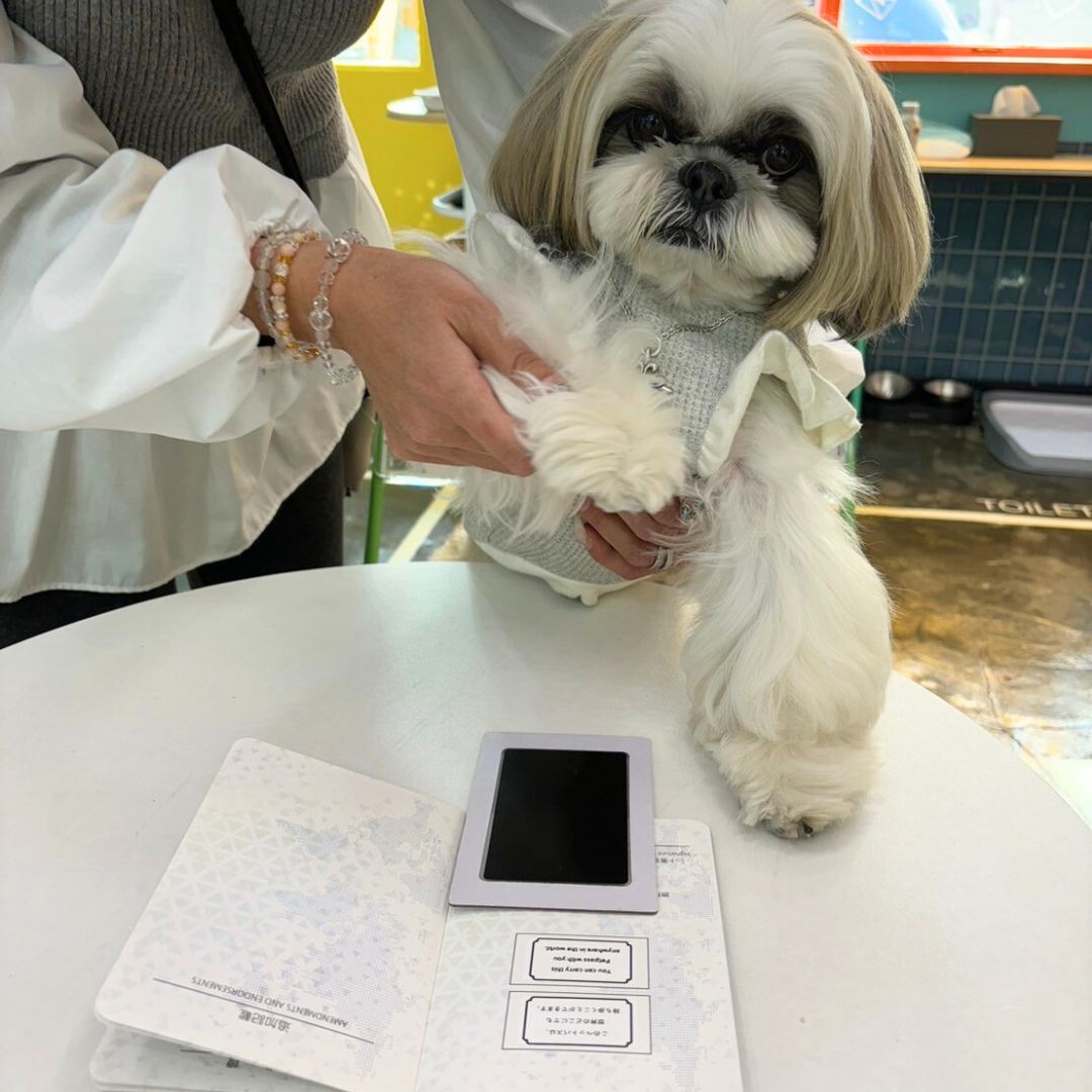 【店舗限定販売】PETPASS