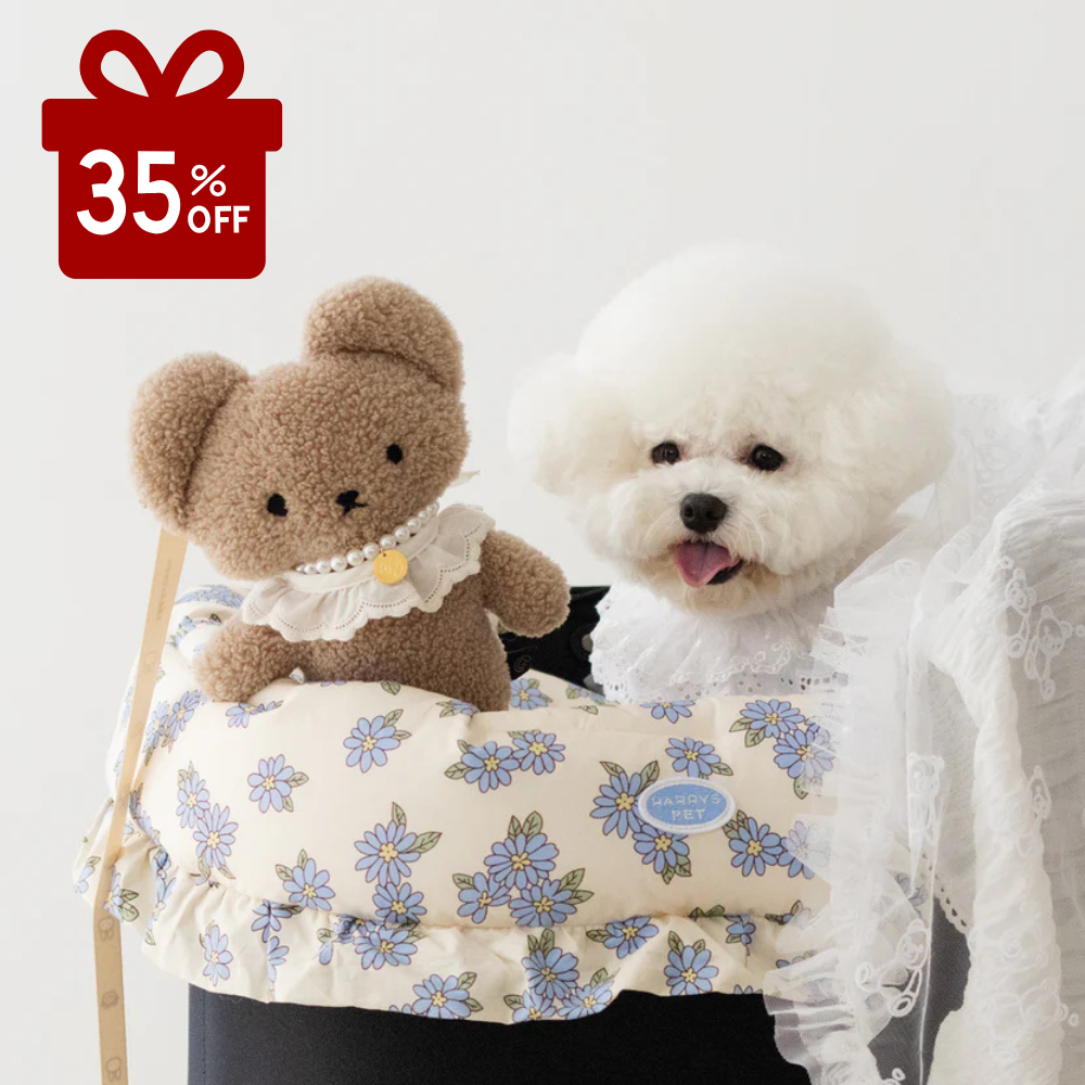 お散歩ともだち BUGGY PETTOMO 【単品販売】