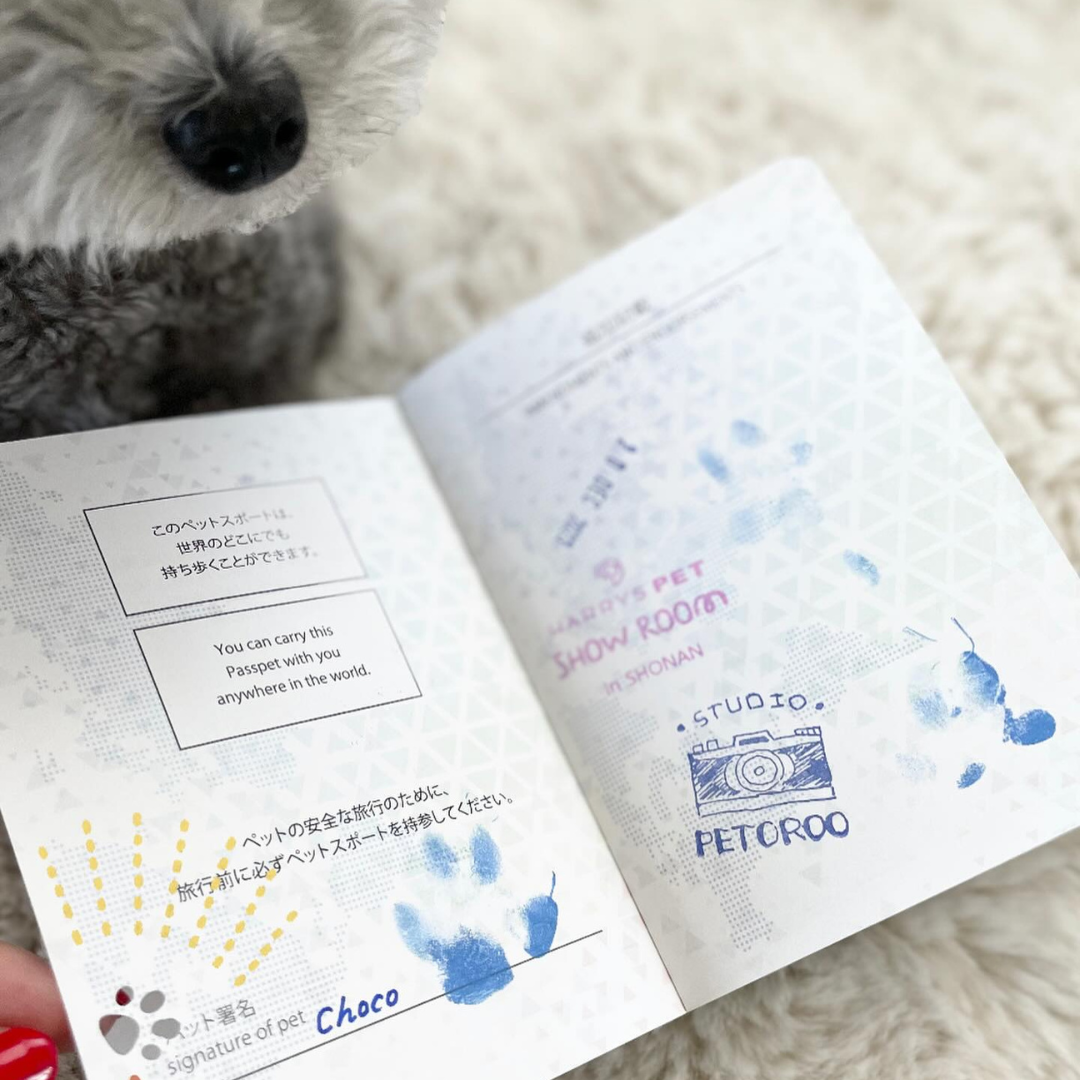 【店舗限定販売】PETPASS