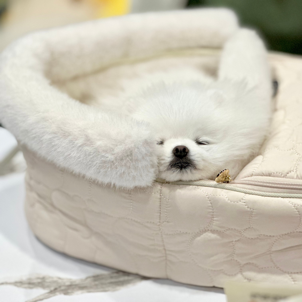 バギーバシネット|HARRYSPET(ハリースペット)公式通販 バギーバシネット|HARRYSPET(ハリースペット)公式通販