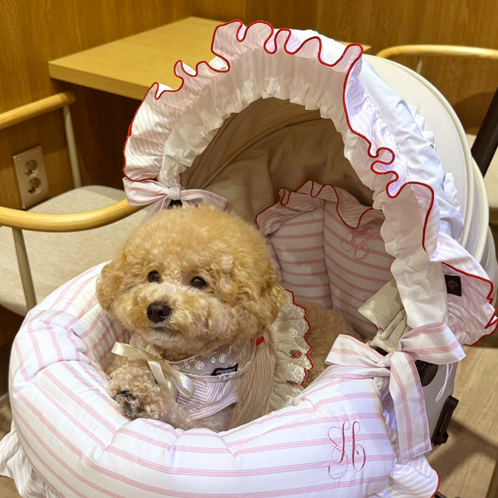 バギーボンネット、クルーズ、オーシャンピンク