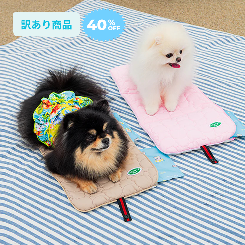 ＼訳あり商品／ アイスポケットポーチ Ice Coolier