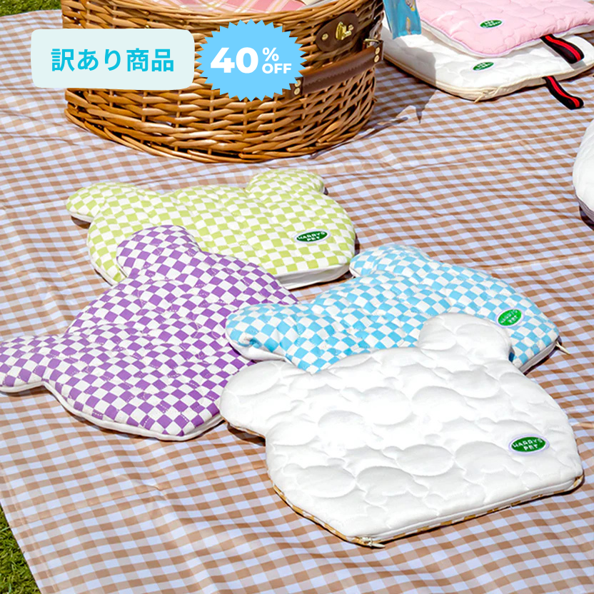 ＼訳あり商品／ ベリーアイスポーチ Ice Coolier