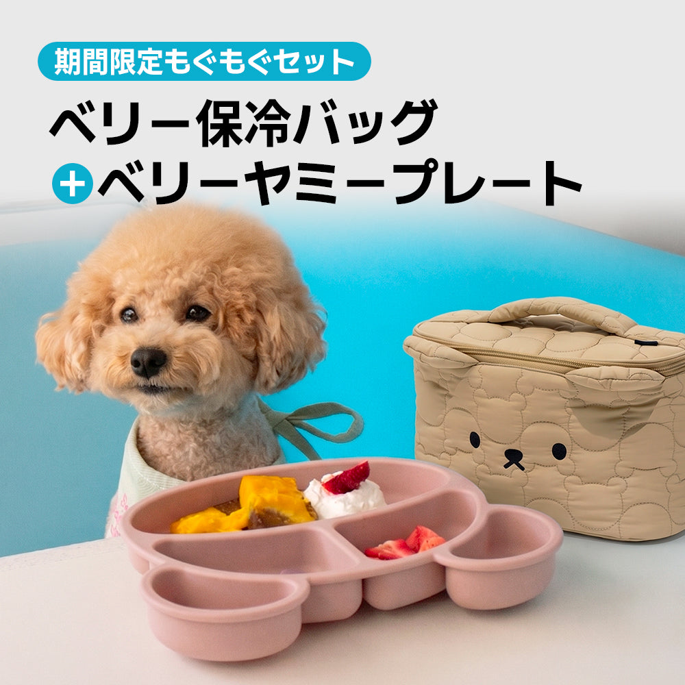 【SALE対象】もぐもぐセット